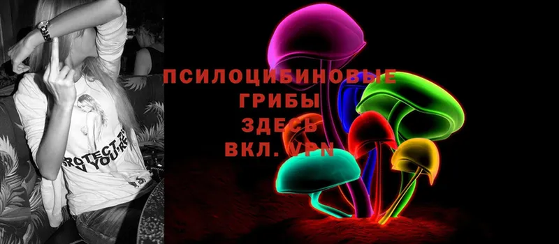 mega ТОР  Киренск  Псилоцибиновые грибы Psilocybine cubensis 